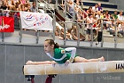 gymnastics